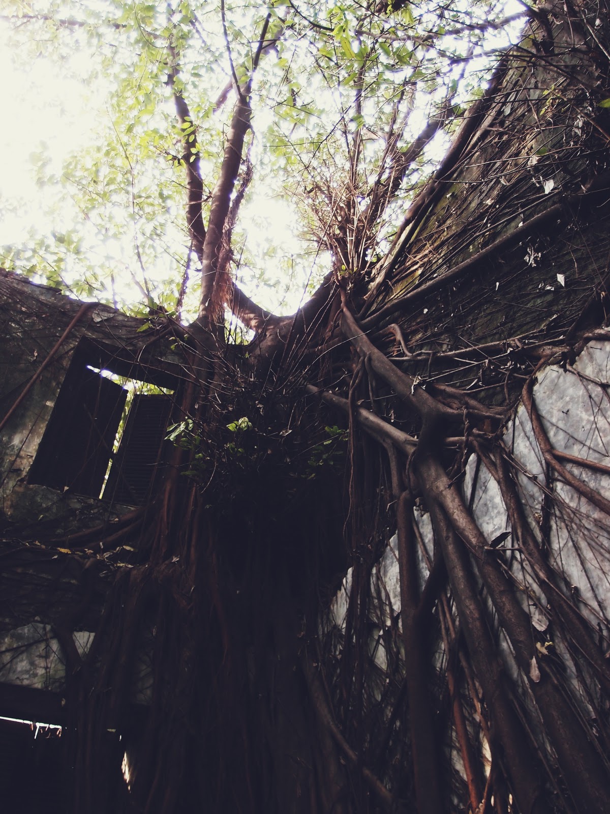 Jaapoh Concrete jungle where dreams are made of.