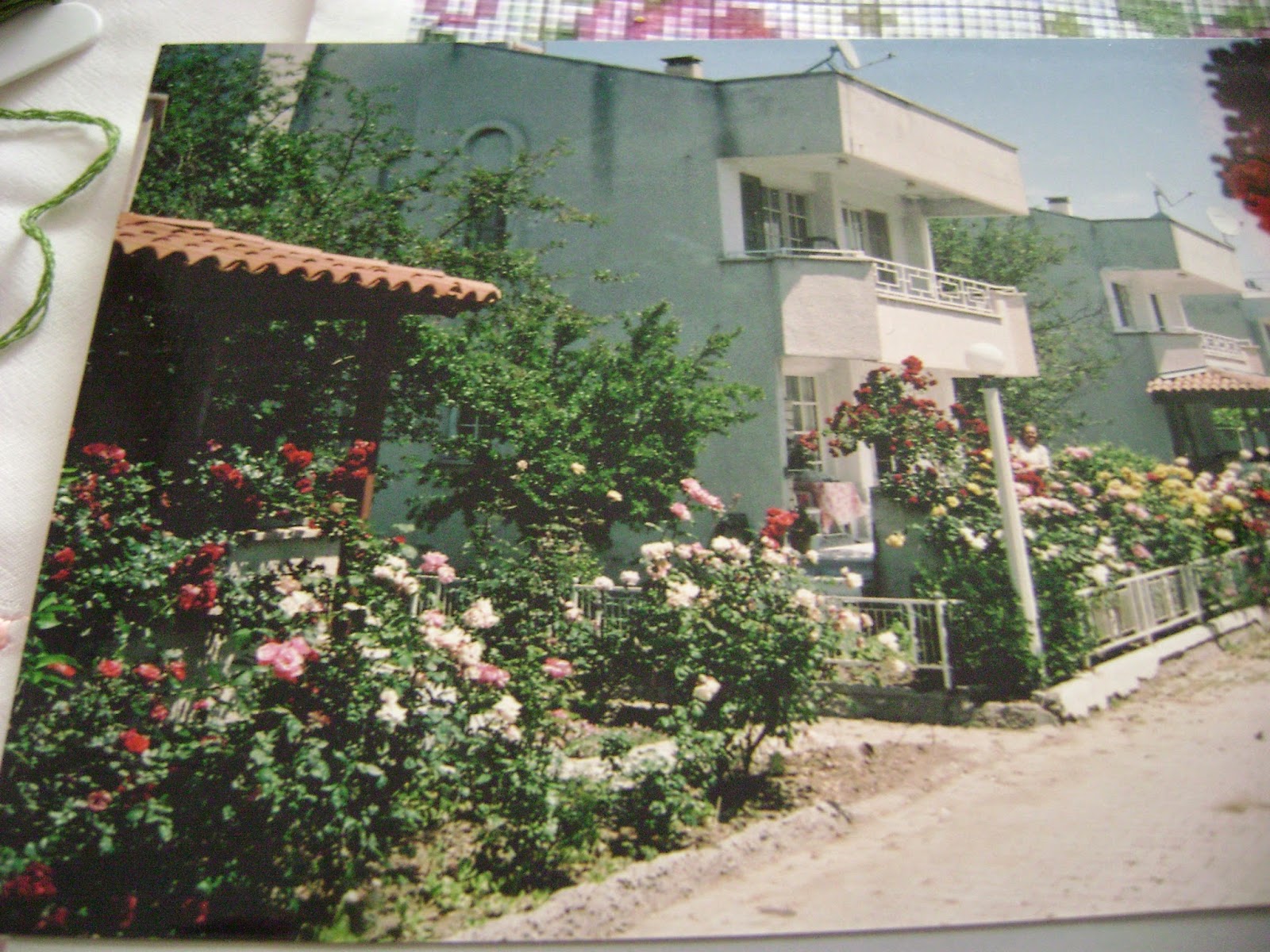 CİHAN'IN BAHÇESİ: Mart 2015