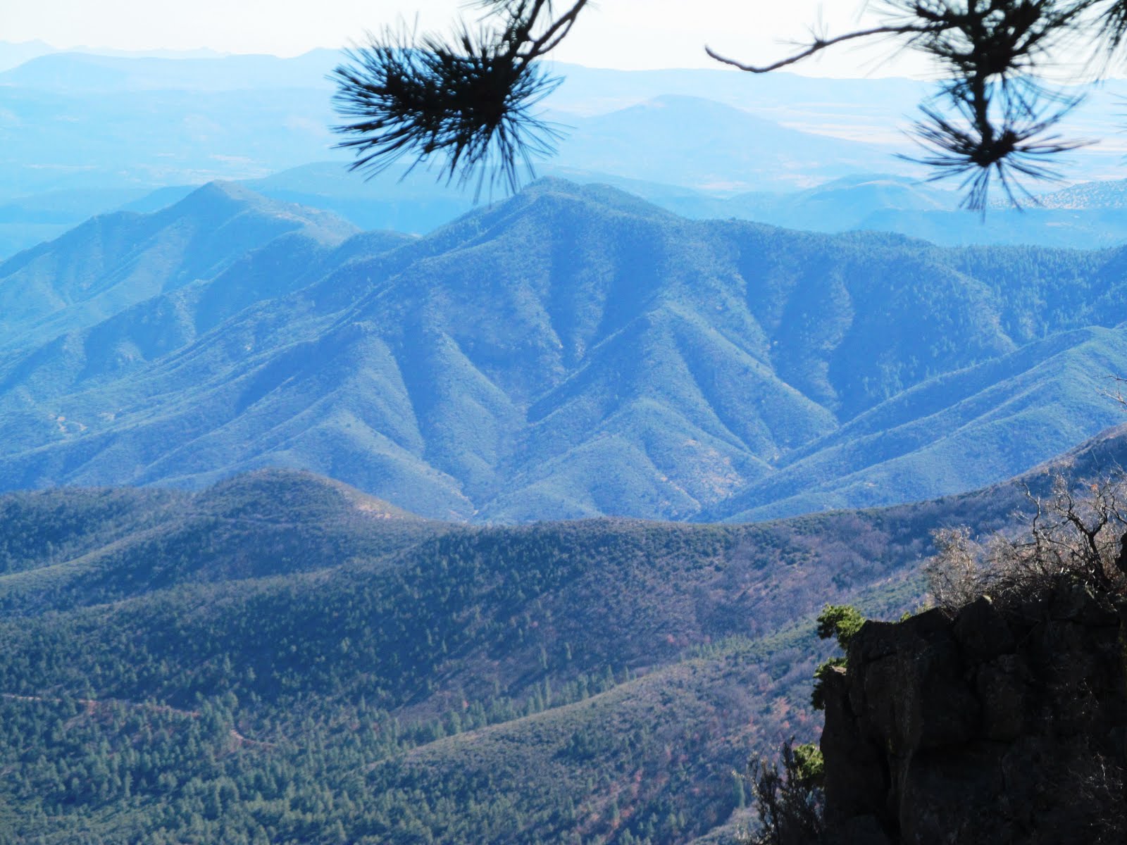 Lazarow WorldHikeAbout 10.31 Mingus Mountain, Prescott, Arizona 10.