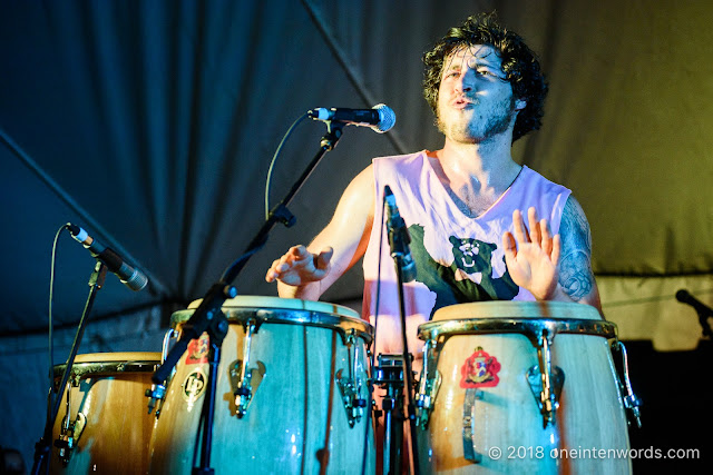 Five Alarm Funk at Hillside 2018 on July 14, 2018 Photo by John Ordean at One In Ten Words oneintenwords.com toronto indie alternative live music blog concert photography pictures photos