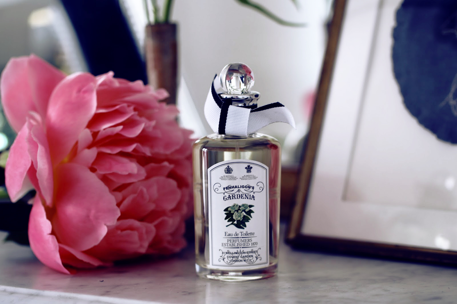 Cuisine Sauvage Cardamine Des Pres Et Pesto Rose