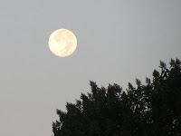 Full moon setting