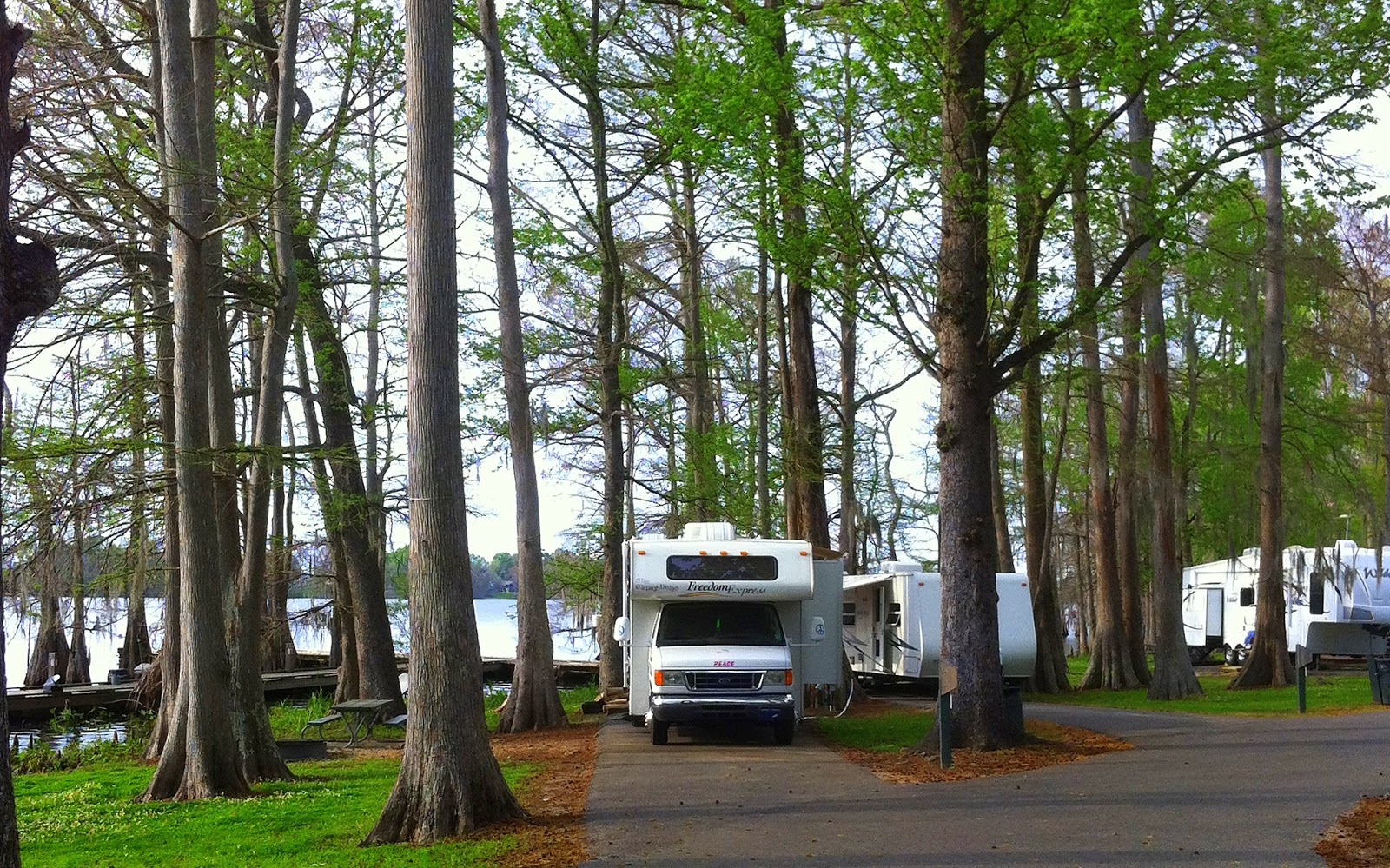 The Gypsy Boho Freedom Express LAKE BRUIN STATE PARK ST. JOSEPH, LA