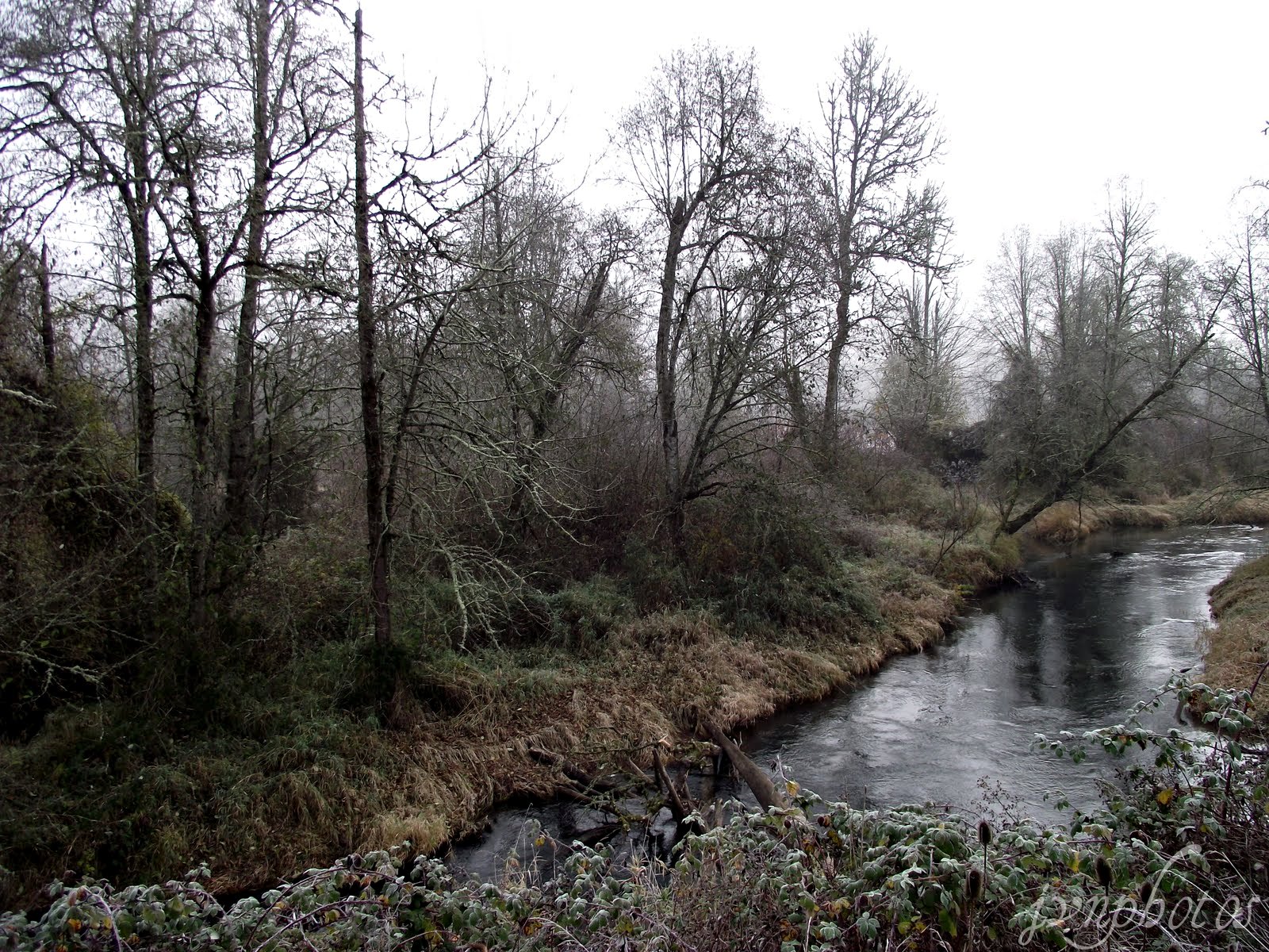 Photos by Jan: Early Morning River Visit