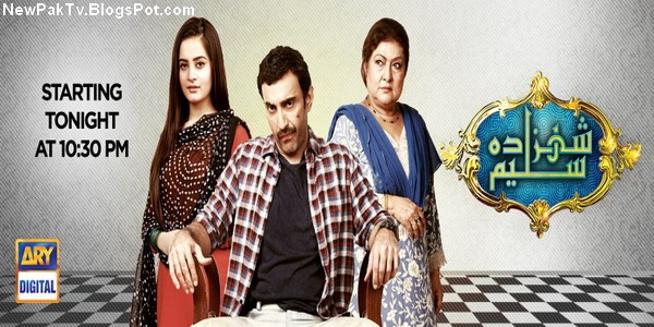 Ary Digital Tv Live Watch Online Pakistan