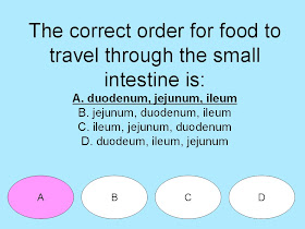 Student Survive 2 Thrive: Free Medical Terminology Practice Test