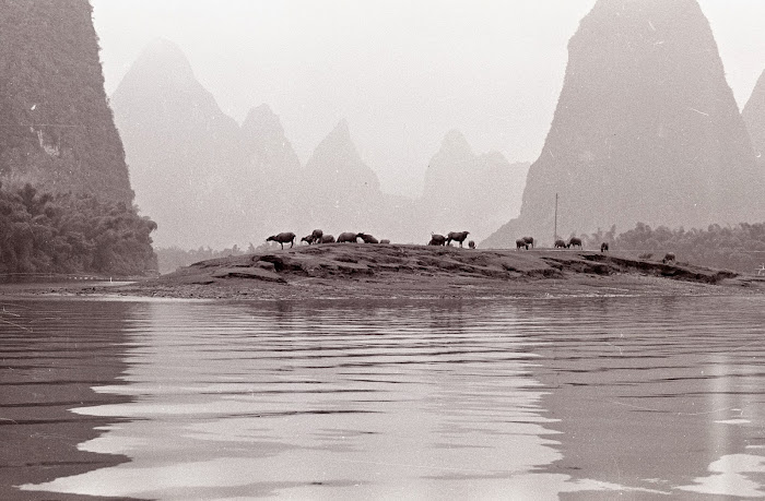 Yangshuo, Guilin, Lijiang, © L. Gigout, 1990