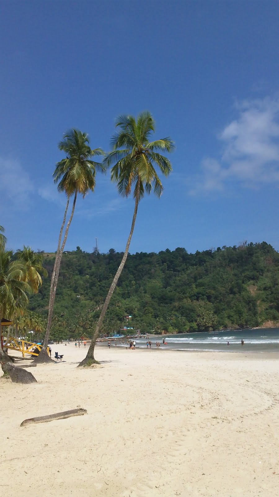 Livin' the lime life Maracas Beach