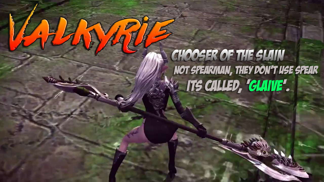 Tera Online: the Valkyrie choose you - Blissful Life
