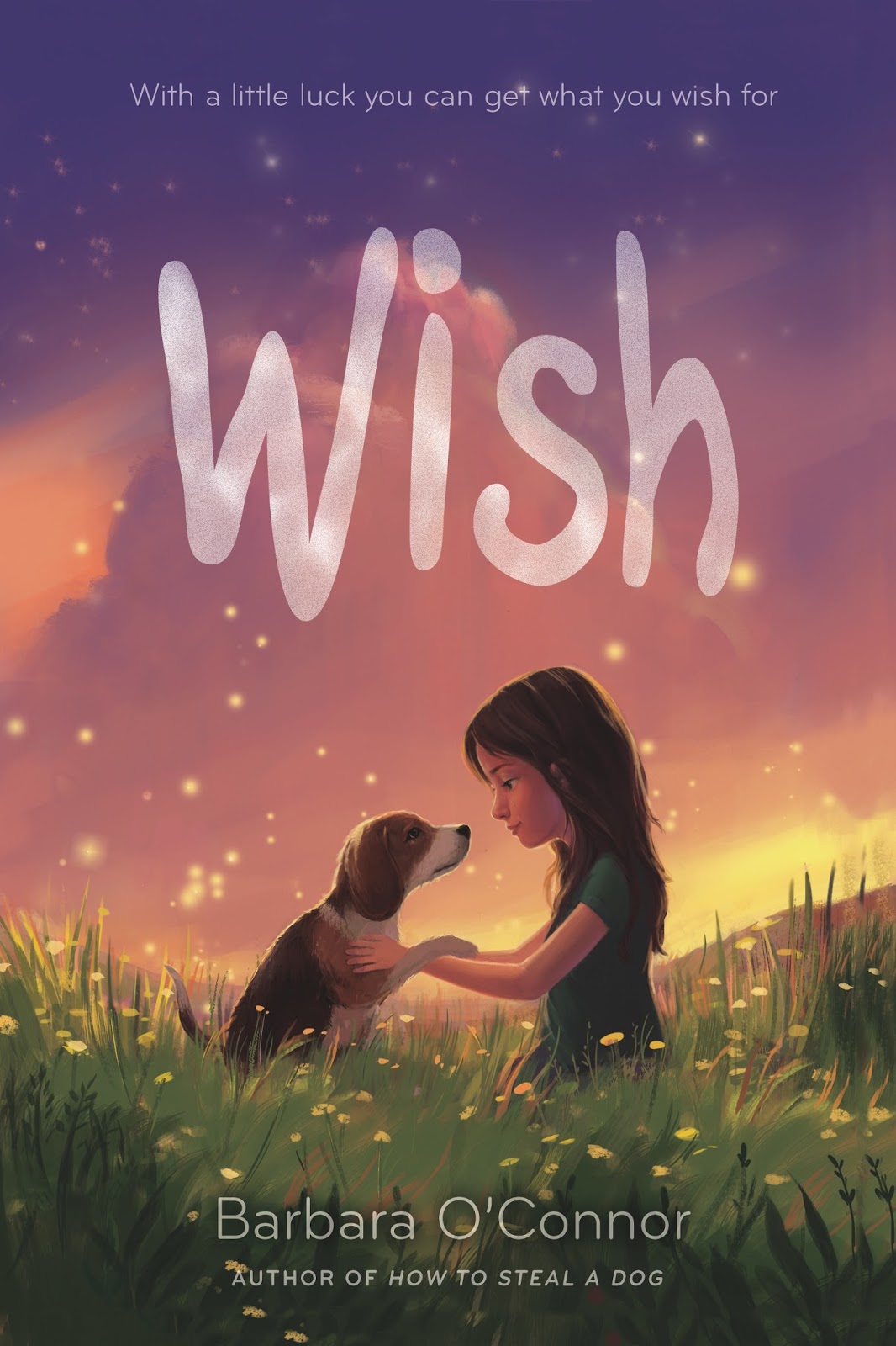 Greetings from Nowhere: Student Blurbs for WISH