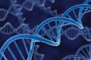Cabinet Approves DNA Technology (Use and Application) Regulation Bill, 2018