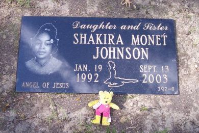 Taken From Our Midst: Missing Angels that Can't Come Home: In Memory of