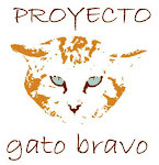 Proyecto Gato Bravo