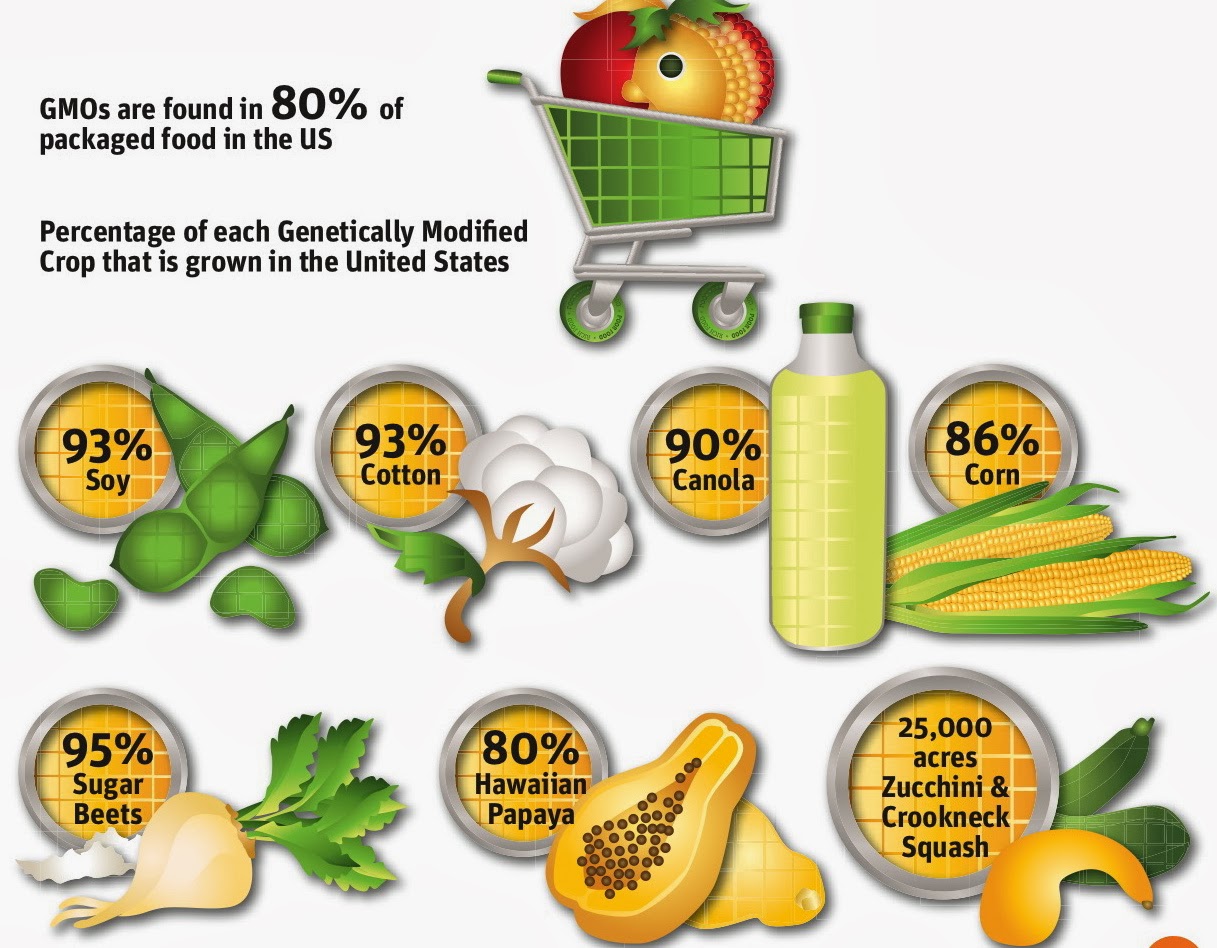 Aquaponic farm futura cz monsanto the most dangerous company in the world