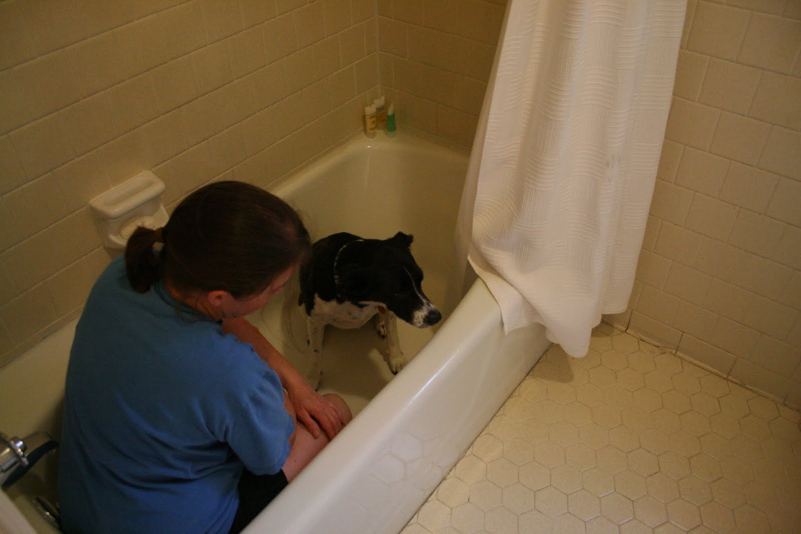 blades of blue Tornado Drills...