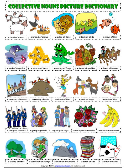 P2A Class Blog: Collective Nouns