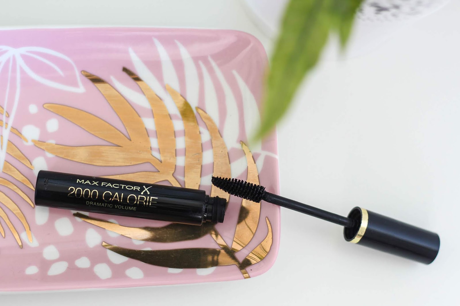 She's A Gentry: The Best but Most Underrated Mascara- 2000 Calorie Mascara