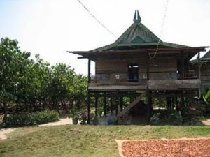 Rumah bolaang mongondow sulawesi utara sulut rumah adat sulawesi utara sulut Gambar Rumah Adat Indonesia