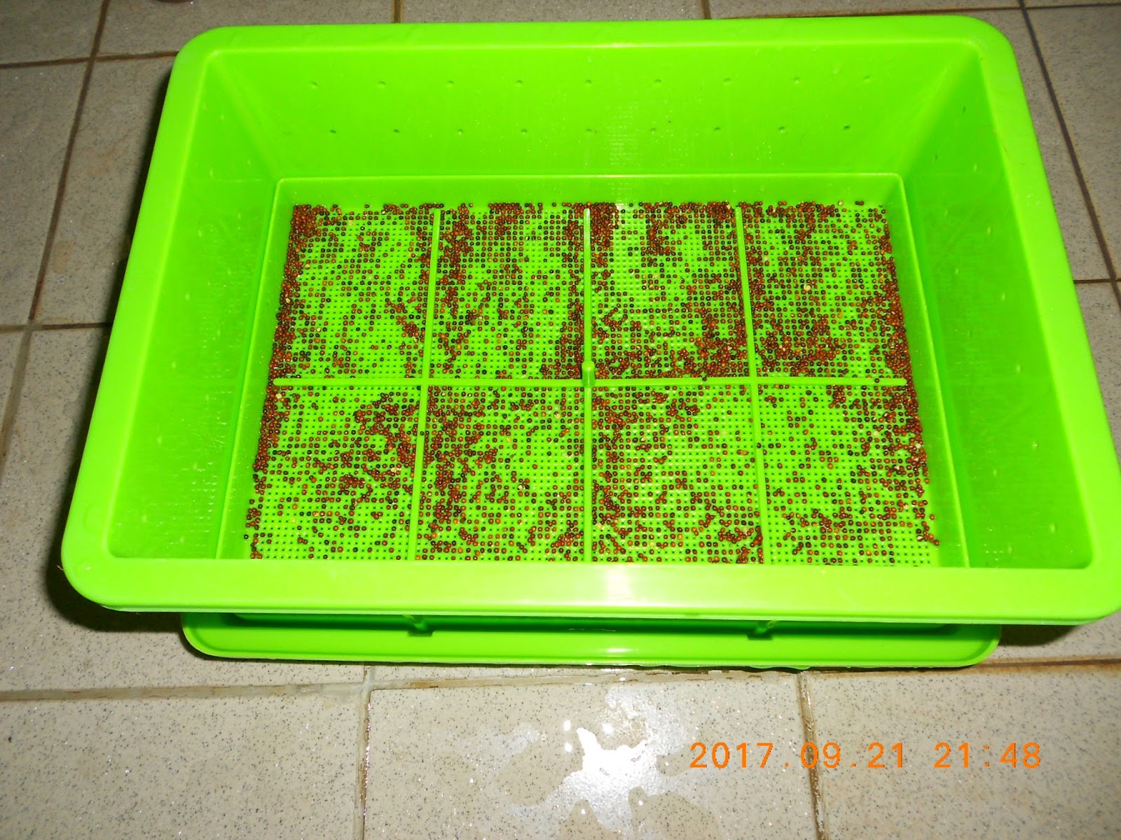 �����R,�����R��,���Ⱚ�R��,������ŵ�,�����R��i,�����R����i,�����ŵ��ܦ�,�����ŵ浵���ߵ�,�����R��