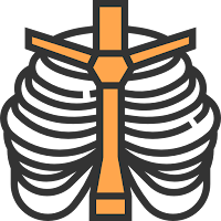 Thorax (rongga dada) Thorax (rongga dada)