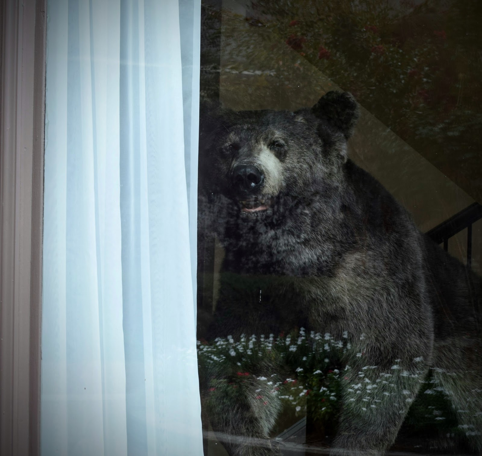 HappiLeeRVing The Bears of New Bern