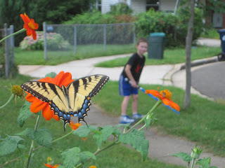 Butterfly on flower, boy with lightsaber