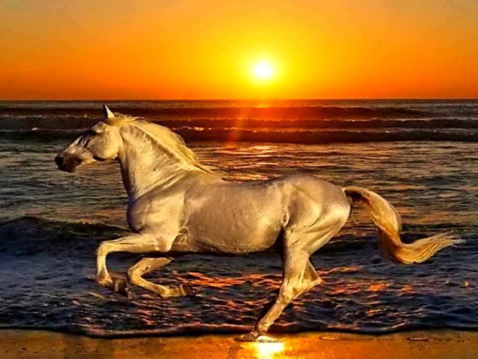 lanzadeldestino DE LAS RELACIONES DE PODER,