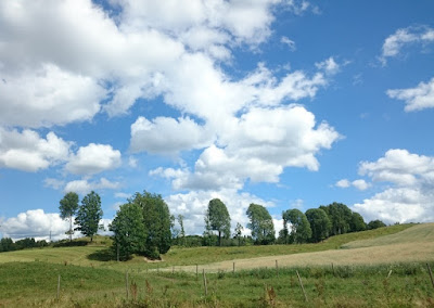 Svensk sommar och småländskt landskap när det är som bäst