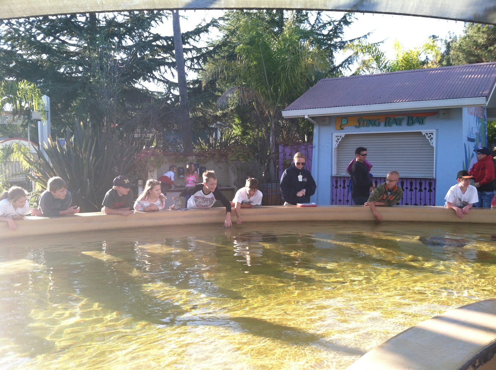 Come What May... Six Flags Homeschool Day