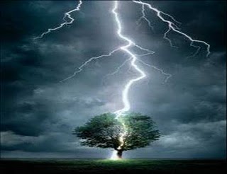Résultat de recherche d'images pour "Un arbol bajo la tormenta"