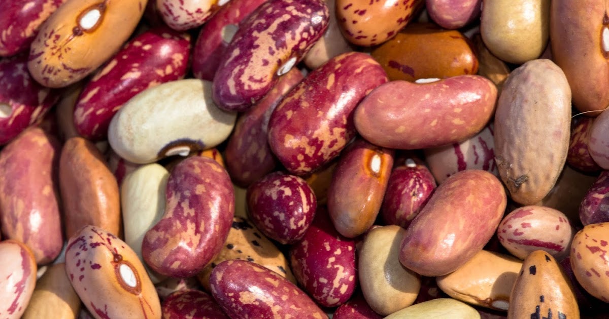 Beans, Beans, The Magical Fruit