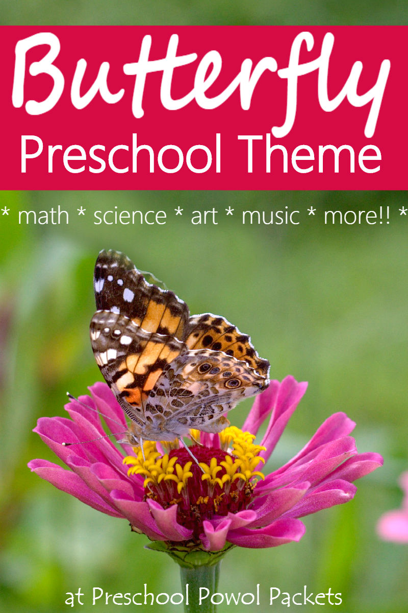 preschool butterfly theme with