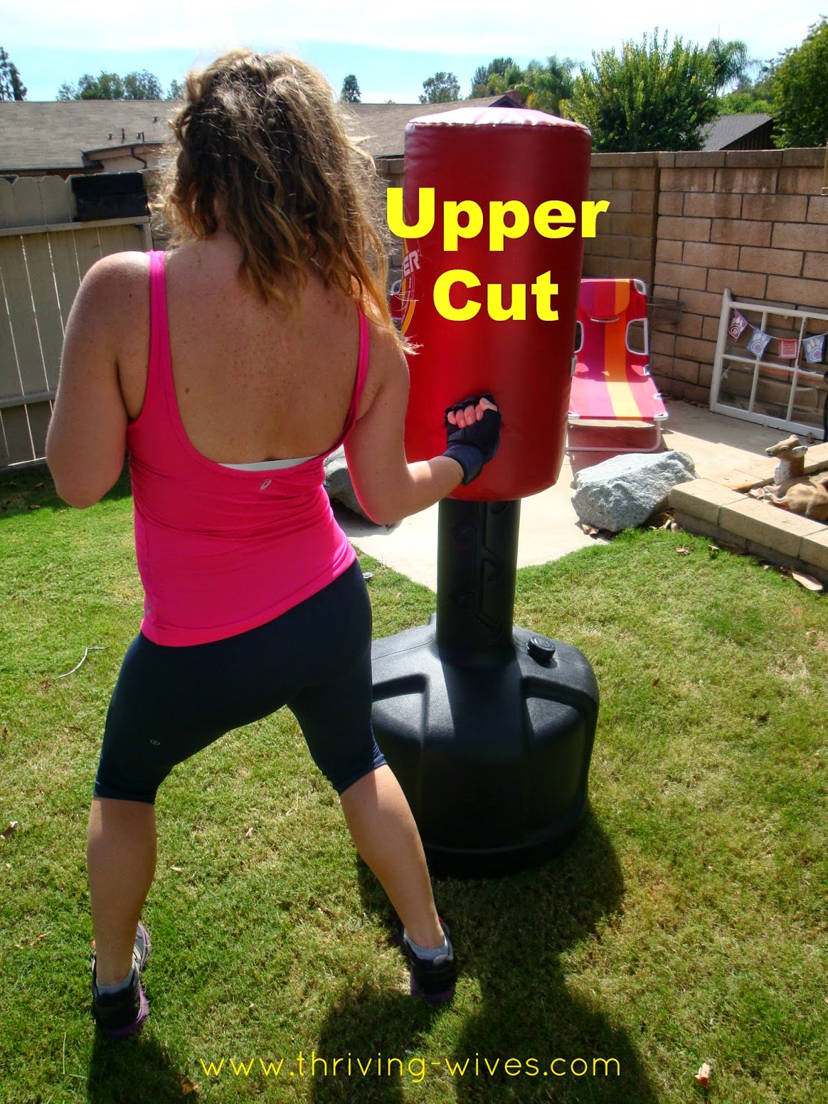 Backyard Boxing Backyard Ideas
