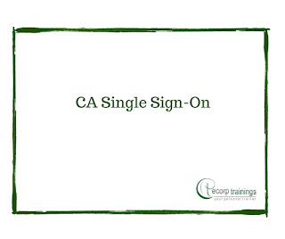 CA Single Sign-On training