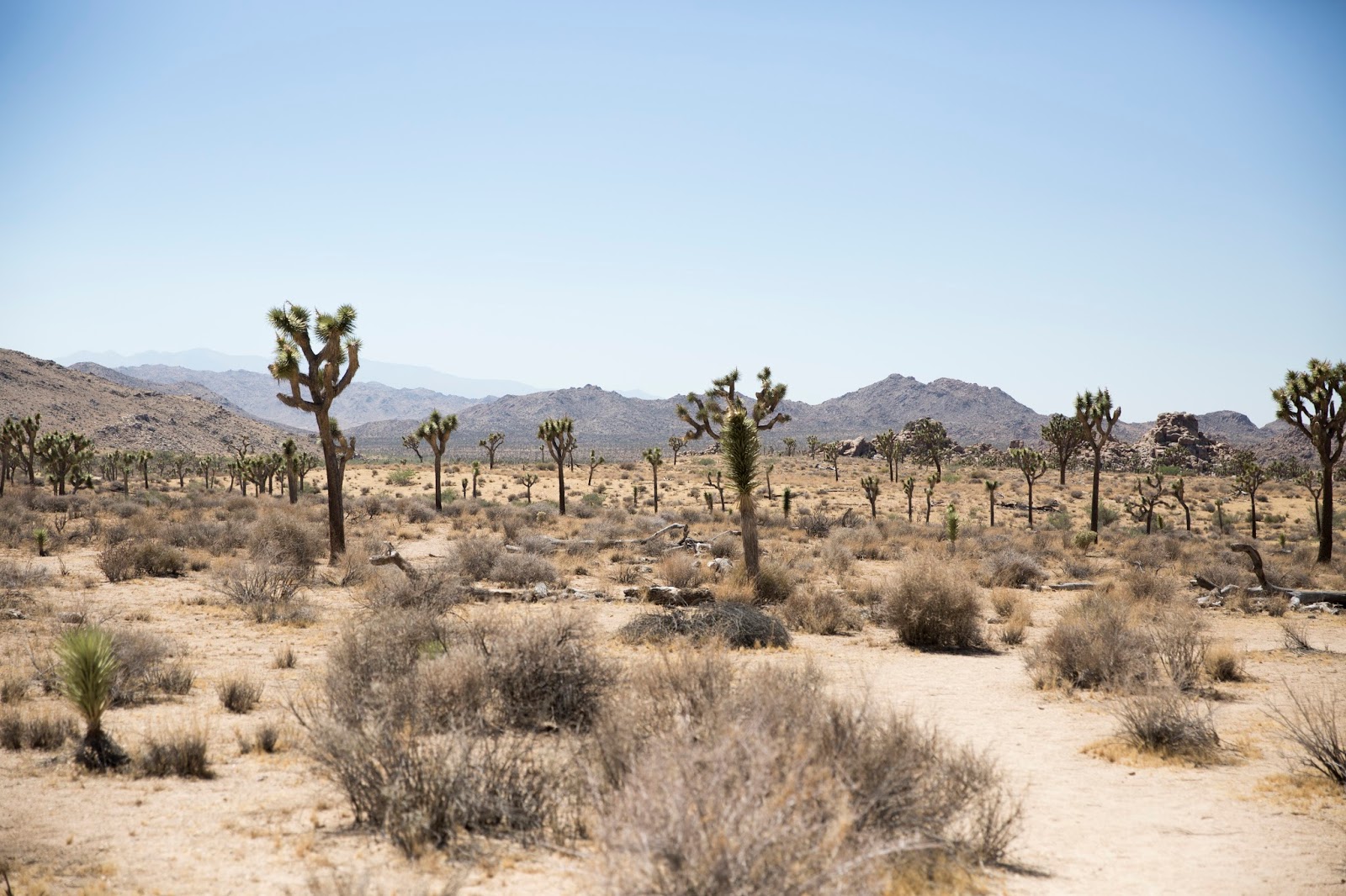 california-travel-photography california-travel-photography