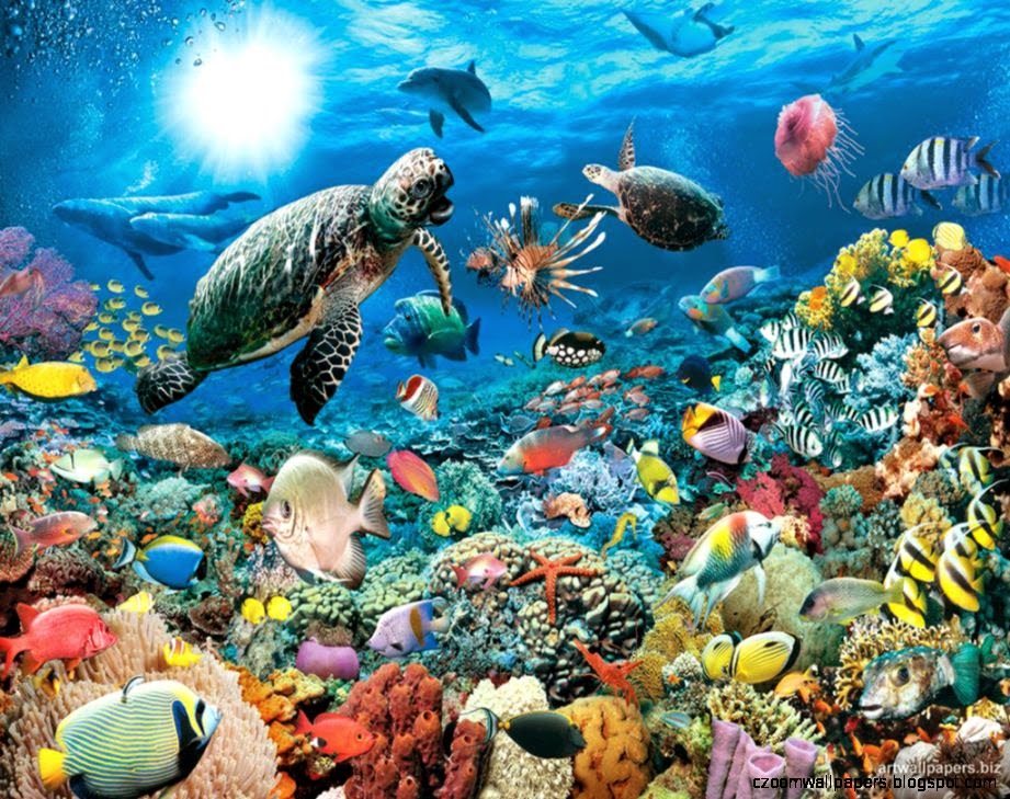 Zoom Background Sea