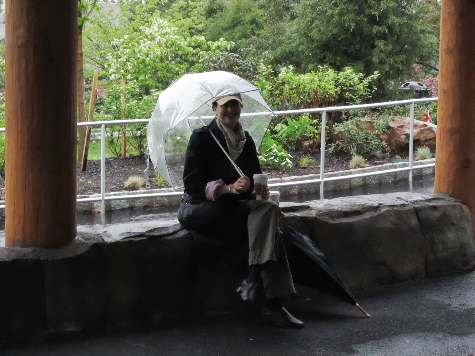 Nesting Ranch Turtle Back Zoo on a rainy day in May