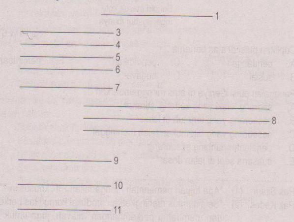 Soal Dan Jawaban Ulangan 3 Bahasa Indonesia SMA Kelas 1 (Part 1