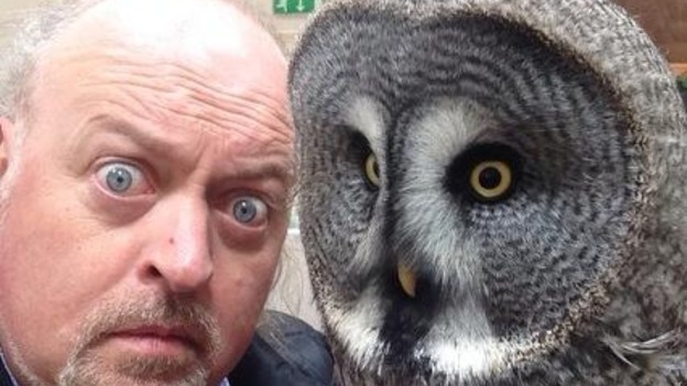 Bewilderness Album Art