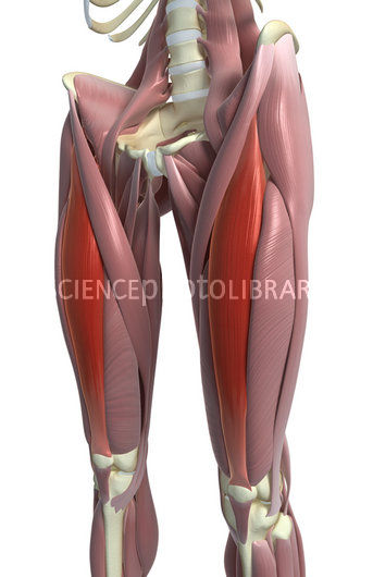 The Aging Athlete: Pain - Part 3