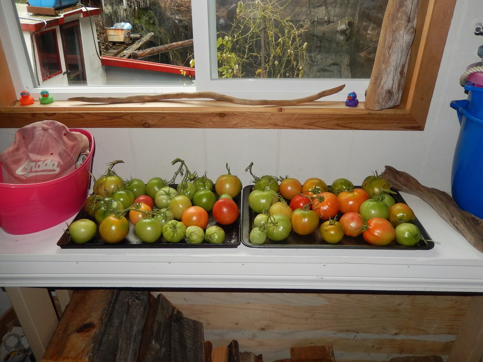 Powell River Books Blog Preserving Frozen Stewed Tomatoes