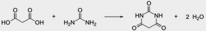 barbituric acid synthesis malonate malonic acid urea condensation