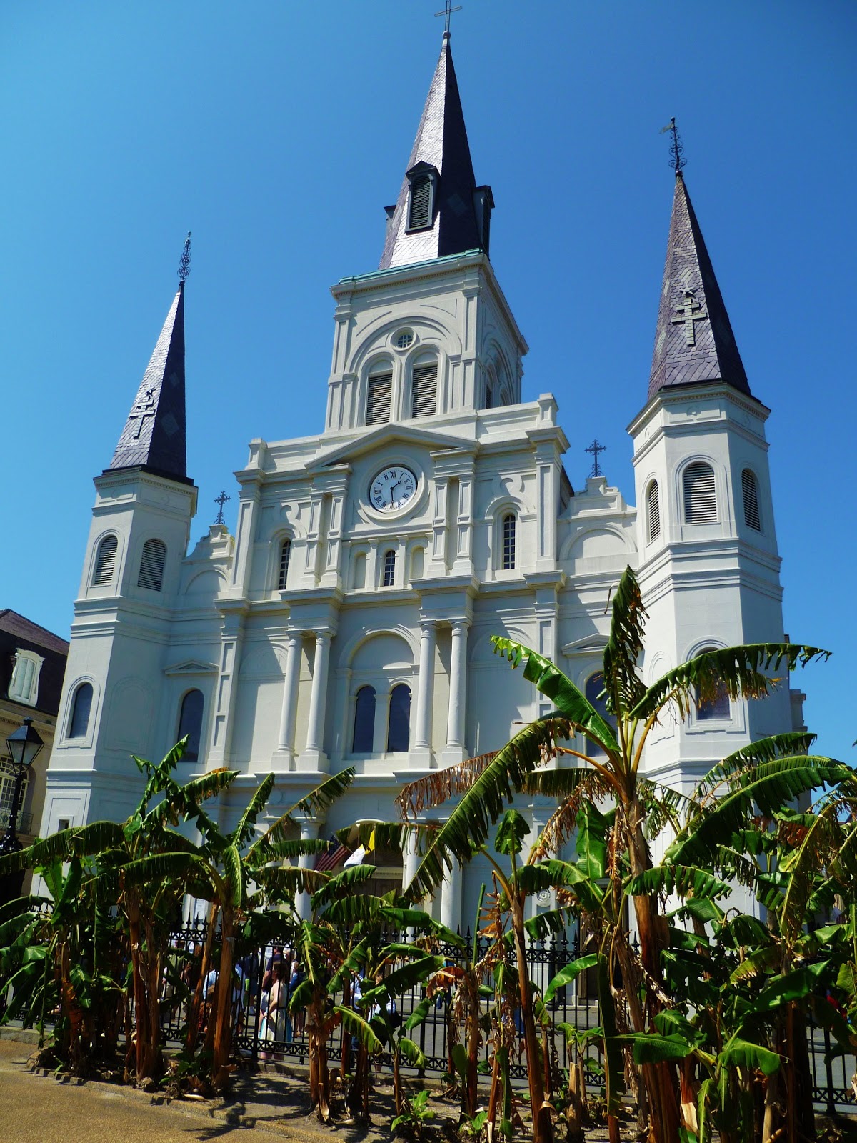 New Orleans, You&#39;re So Purdy | Confused Julia