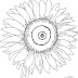 Best 15 Sunflower Clip Art Coloring Pages Library