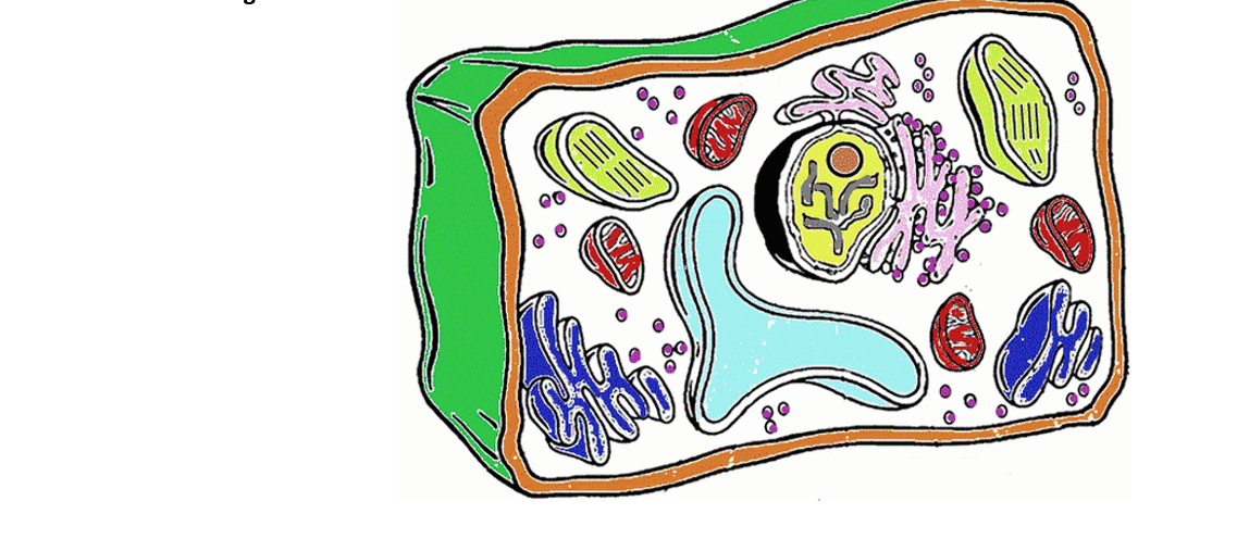Mrs. Counts 7th grade Science Class: Monday November 13