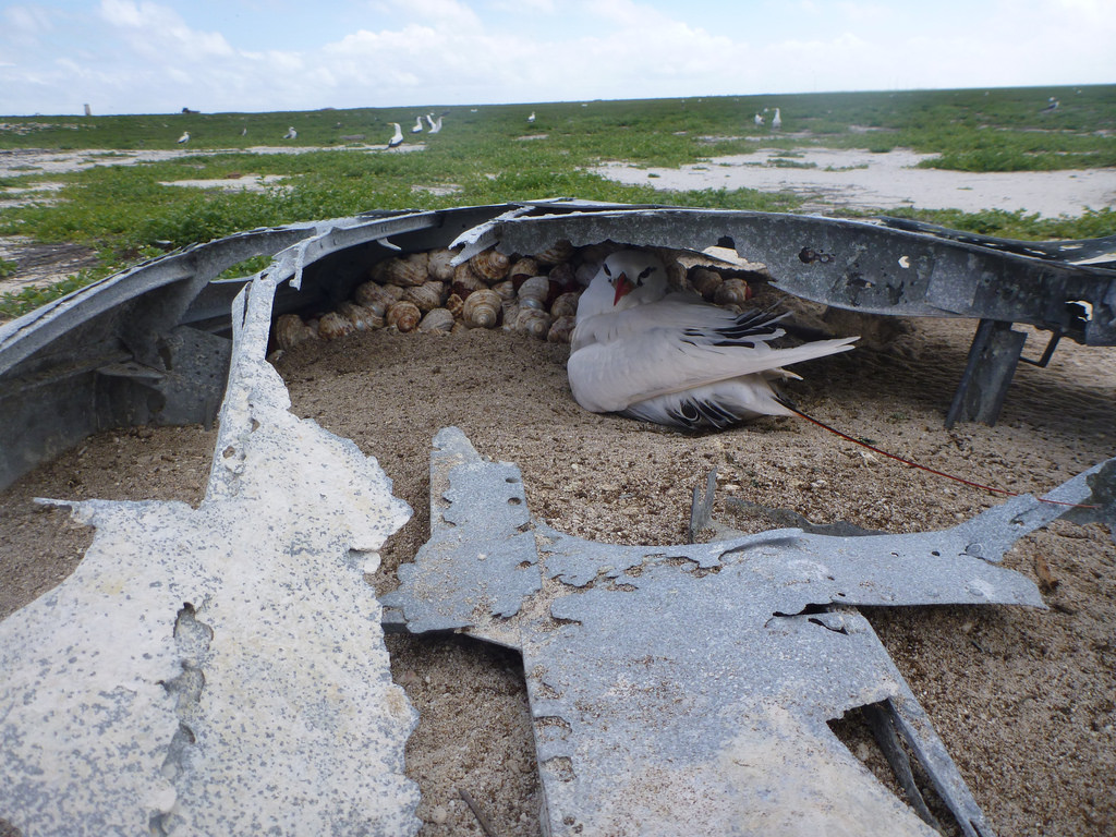 Deserted Places Baker Island A deserted atoll in the Pacific Ocean