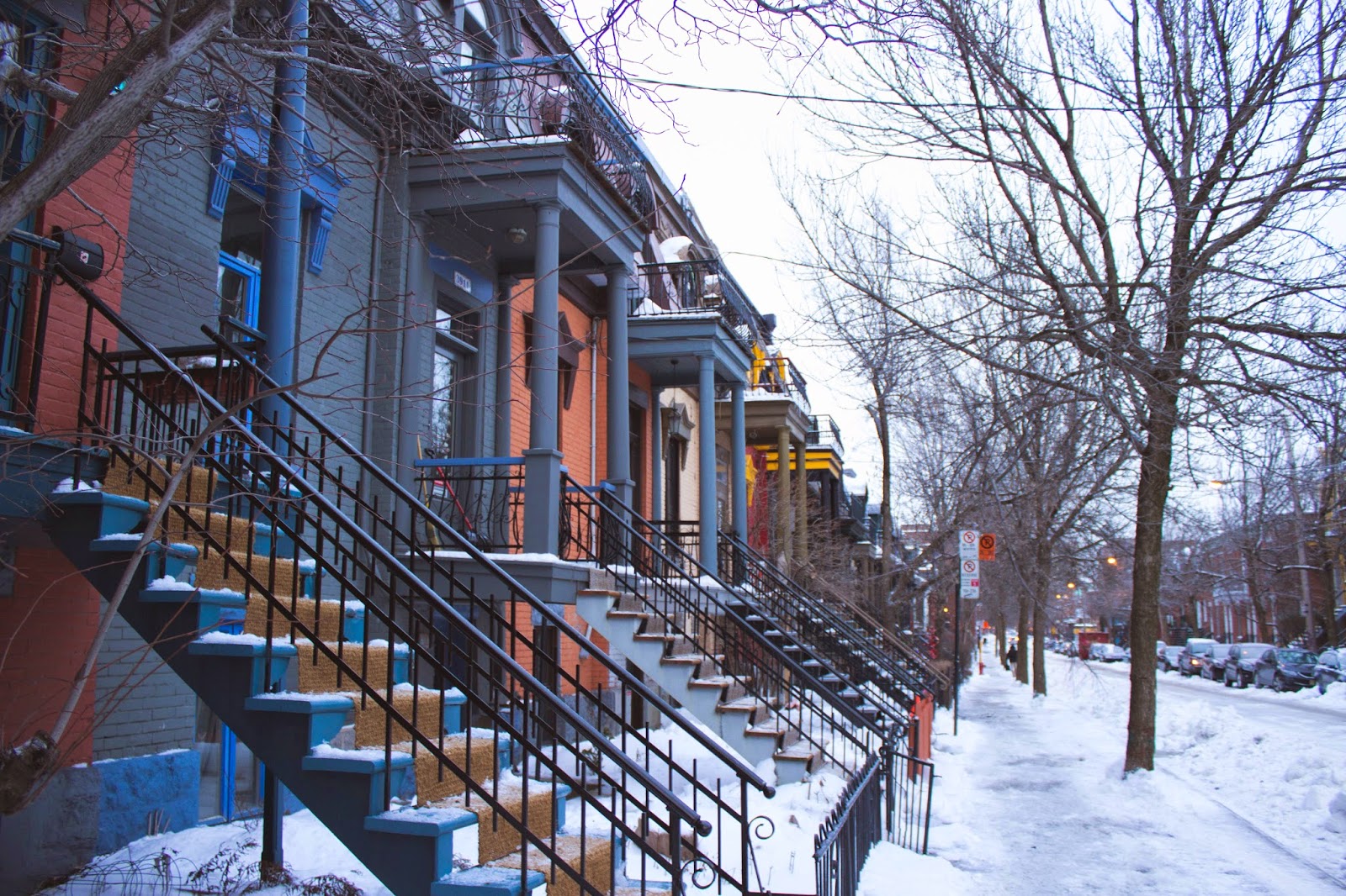 Sugar and Dinosaurs Montréal 3 Le plateau montroyal