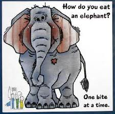elephant eat situation fitting appropriate rather seems