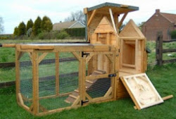 chicken coop coops build designs easy building need diy backyard expansion inside chickens clean hen shelter plans frame wheels roof