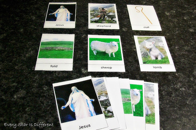 The Shepherd Memory Game and/or Nomenclature Cards